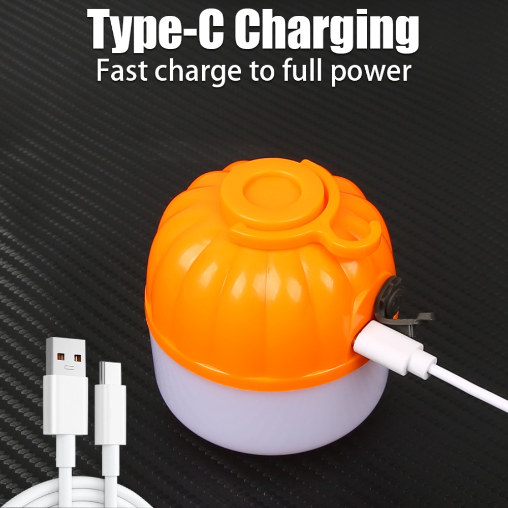 Portable Mini Camping Lamp 4 L - Outdoor Camping Lighting 评论和价格