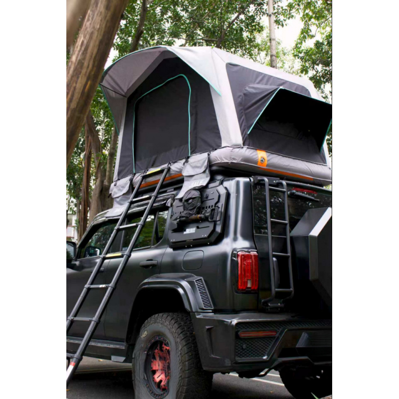 Inflatable Waterproof Roof Top - Outdoor Camping Tent Waterproof 评论和价格